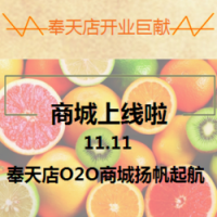 奉天店商城上線獻禮雙十一！ 新店開業(yè)  開業(yè)有禮