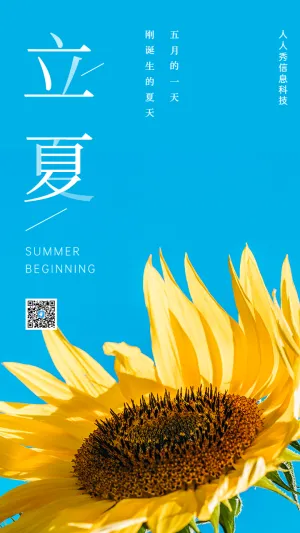 立夏向日葵盛开节日宣传海报