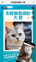 失败猫狗摄影大赛