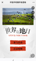 评选手机随手拍湿地