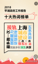 我是第1674个“秒”看平湖政府工作报告热词的人