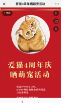 爱猫4周年晒萌宠活动