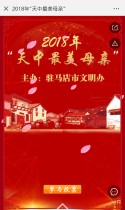 2018年“天中最美母亲”