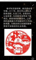 2017年崇左公安工作成果图片展