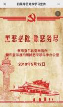 扫黑除恶党政学习宣传