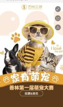最萌宠物票选大赛