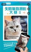 第二届失败猫狗摄影大赛