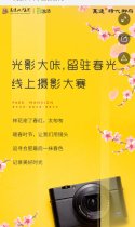 光影大咔，留驻春光