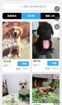 最最萌宠物大赛