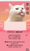 评选：猫咪吐舌照