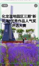 化龙湿地园区三期“新花海”优秀作品人气奖评选大赛