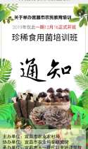 2019年农民教育培训珍稀食用菌培训班开始报名啦！（2019全市唯一一期）