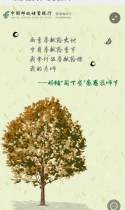 邮储“园丁贷” 感恩教师节
