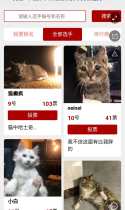 我是一只猫，铲屎的居然要带我去选美 ？！