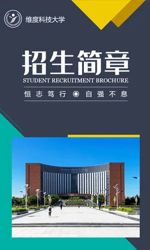 简洁时尚大学招生职业学校招生宣传