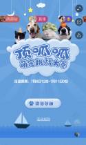 “顶呱呱”萌宠挑战大赛