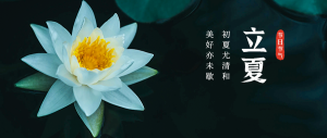 24節(jié)氣立夏荷花公眾號(hào)首圖