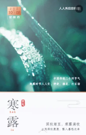 二十四节气寒露简约文艺书签风格企业宣传