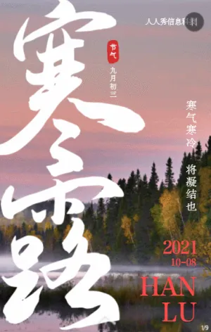 书法大字报写实大气张扬风格二十四节气寒露企业宣传