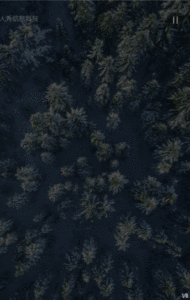 小寒二十四节气大字报写实中式风格企业节气宣传