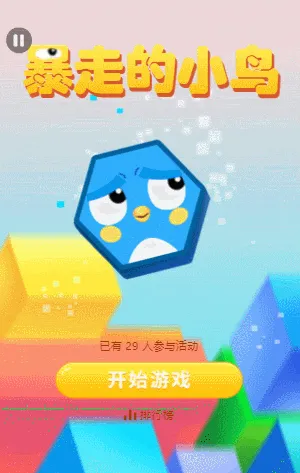 暴走的小鸟