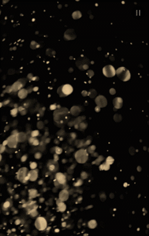 黑金圣诞节狂欢促销活动模板