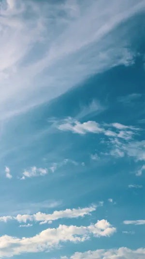 快递服务质量调查问卷|满意度调查