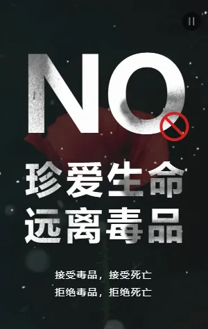黑白公益简约禁毒宣传倡议书