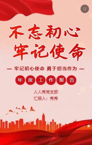红色大气政府党建年度工作汇报报告