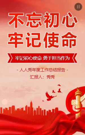红色政府党建年度个人工作总结报告