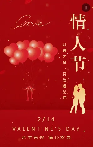 高端浪漫简约红金214情人节告白相册