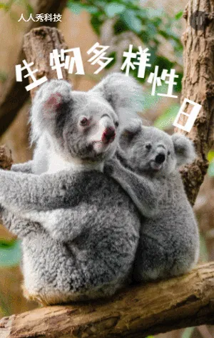 國際生物多樣性日