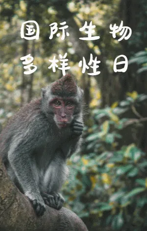 國際生物多樣性日