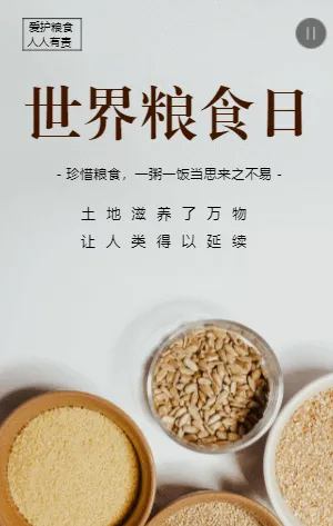 世界粮食日