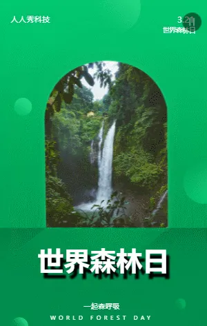 简约世界森林日宣传
