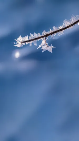 疫情期间居家健身情况