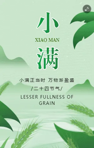绿色二十四节气小满宣传模板