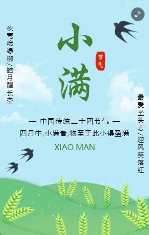 蓝绿色二十四节气小满宣传模板