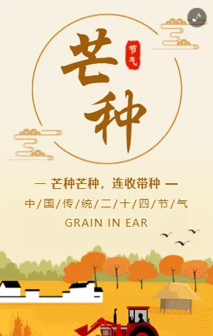黄色插画二十四节气之芒种宣传模板