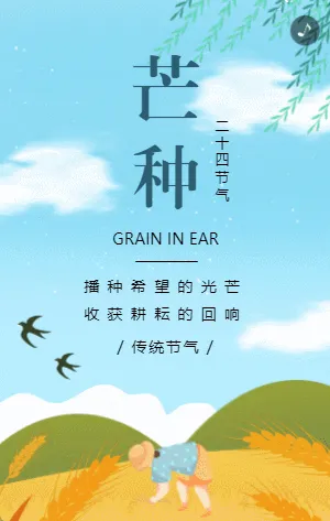 蓝色插画传统节气芒种宣传介绍模板