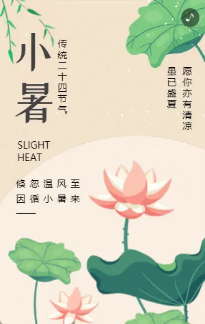插画传统节气小暑宣传介绍模板