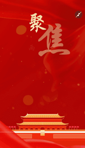 红金政府聚焦两会知识宣传介绍模板