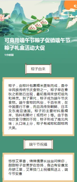 可商用端午节粽子促销端午节粽子礼盒活动大促