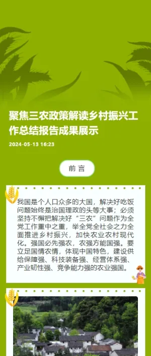 聚焦三农政策解读乡村振兴工作总结报告成果展示