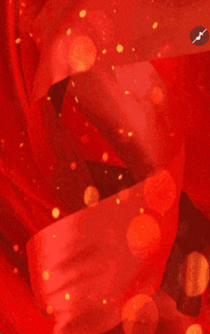 鎏金红金红色动态商务会议/招商展会/答谢晚宴邀请函