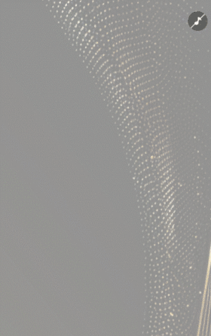 黑色鎏金商务会议/金融投资峰会/招商展会邀请函