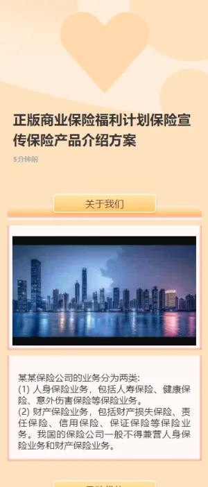 正版商业保险计划保险宣传保险产品介绍方案