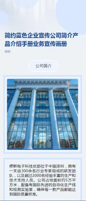 简约蓝色企业宣传公司简介产品介绍手册业务宣传画册