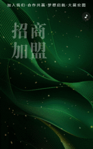 招商邀请函招募合伙人招商会议邀请函