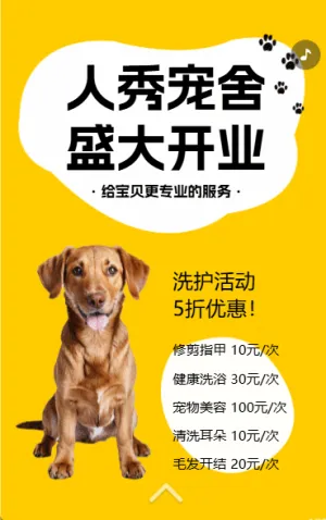 宠物店盛大开业